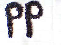 Homopolymer&Copolymer