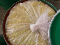 sodium ethyl xanthate